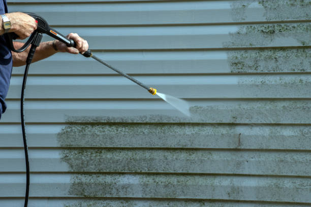 Best Roof Pressure Washing  in Key Biscayne, FL
